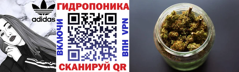 Бошки Шишки сатива Малая Вишера